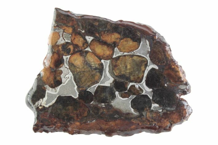 Sericho Pallasite Meteorite ( g) Slice - Kenya #382936